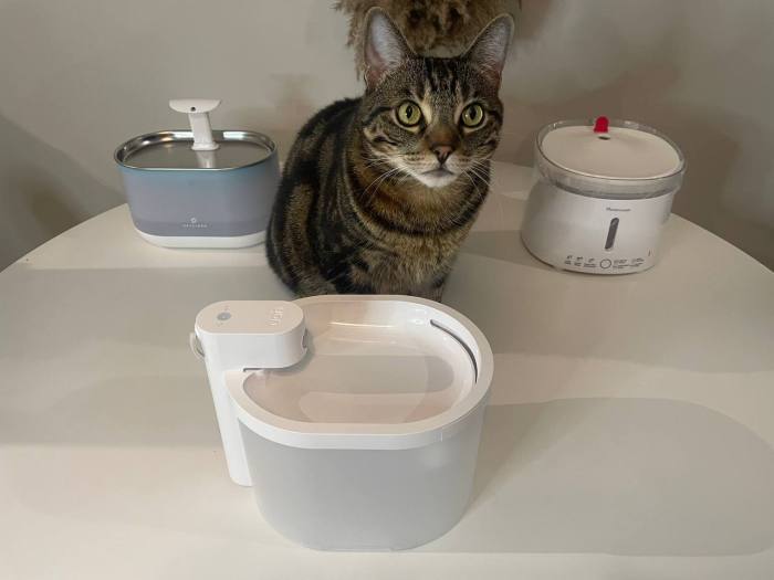 Best Cat Water Fountains 2025 - Forbes Vetted