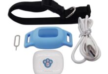 Gps Cat Collar