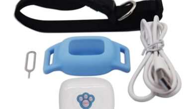 Gps Cat Collar