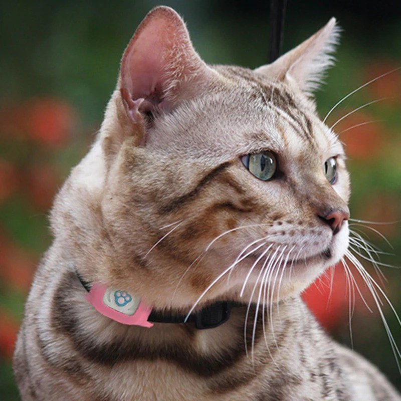 Smart GPS Cat Collar – Pet GPS Tracker - NO SIM INCLUDED