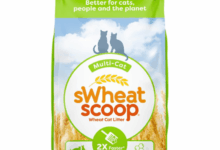 10 Best Cat Litters for Odor Control 2020 | Happy Pets Now