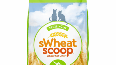 10 Best Cat Litters for Odor Control 2020 | Happy Pets Now