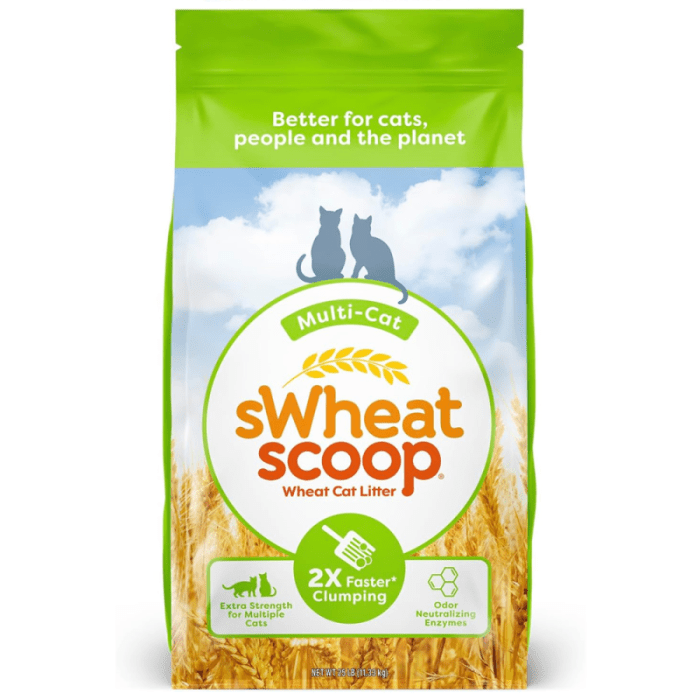 10 Best Cat Litters for Odor Control 2020 | Happy Pets Now