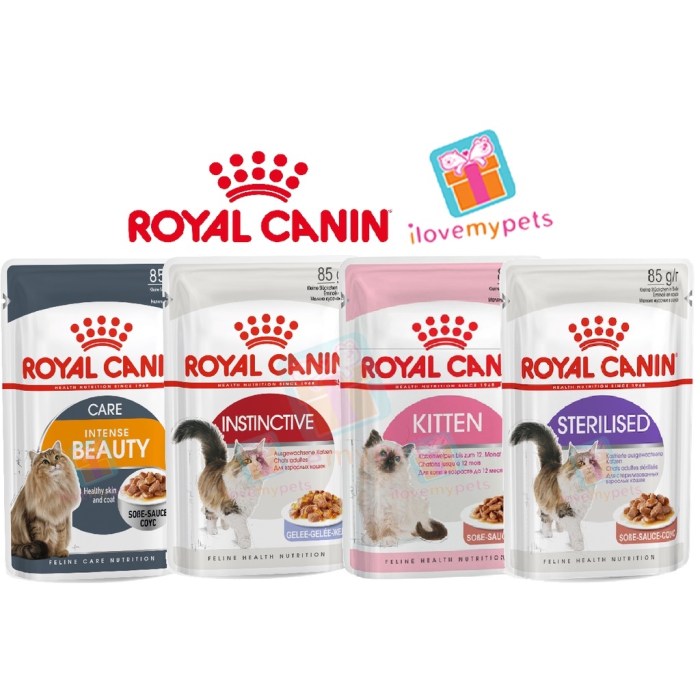 Royal Canin Cat Food Review | Cat food, Canned cat food, Feline health