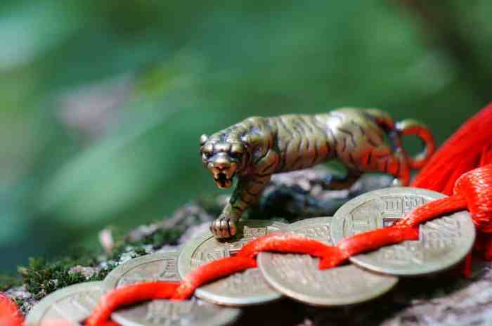59 Great Chinese Cat Names and Their Meanings - A-Z Animals