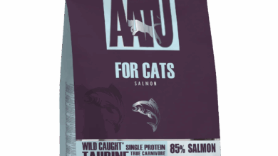 Best Salmon Cat Food