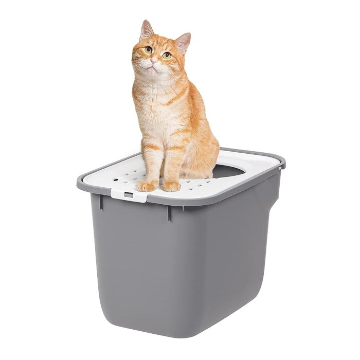 9 Best Top Entry Litter Boxes