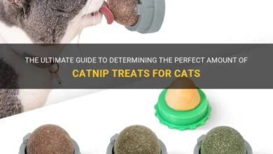 The Ultimate Guide To Determining The Perfect Amount Of Catnip Treats ...