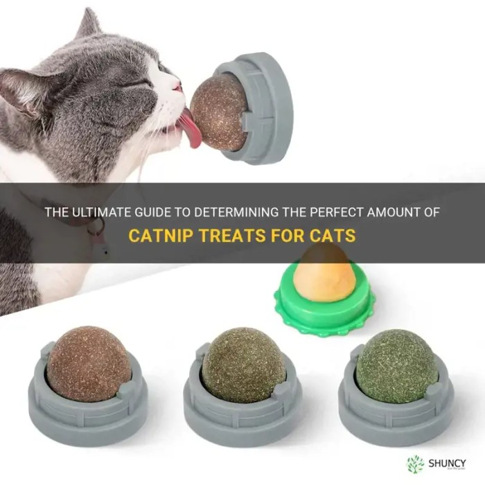 The Ultimate Guide To Determining The Perfect Amount Of Catnip Treats ...