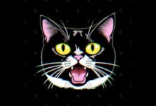 Portrait of a Black and White Tuxedo Cat Stock Image - Image of kitty ...