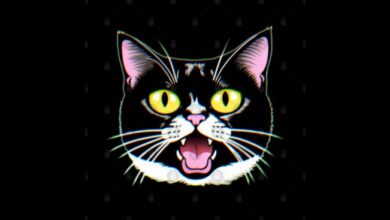 Portrait of a Black and White Tuxedo Cat Stock Image - Image of kitty ...