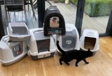 10 Things You Should Know Before Buying an Automatic Litter Box - Cats.com