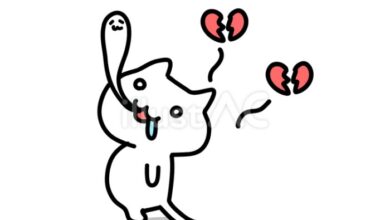 Can animals die of a broken heart