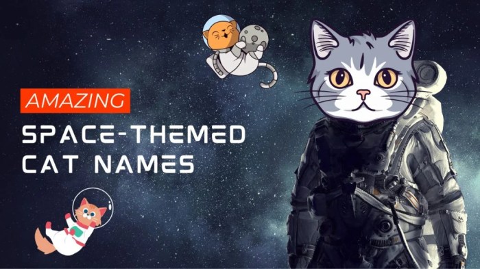 200+ Space Themed Names For Cats