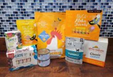 7 Best Cat Vitamins and Supplements (VET RECOMMENDED) - I Love ...