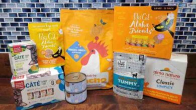 7 Best Cat Vitamins and Supplements (VET RECOMMENDED) - I Love ...