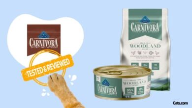 Unbiased Blue Buffalo Carnivora Woodland Cat Food Review - Discontinued ...