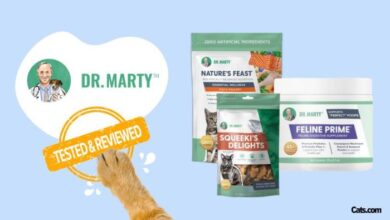 Unbiased Dr. Marty Cat Food Review - Cats.com