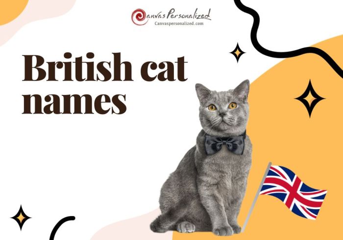 British Cat Names: 410+ Regal Choices You'll Love