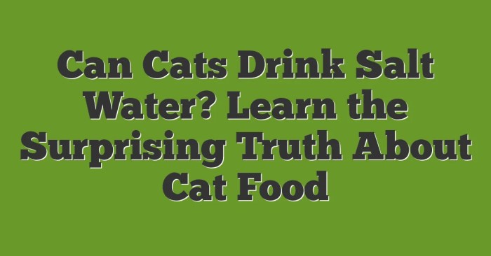 Can Cats Drink Saltwater