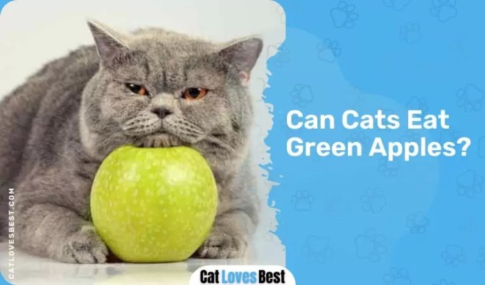 Can Cats Eat Apples? - The Tiniest Tiger