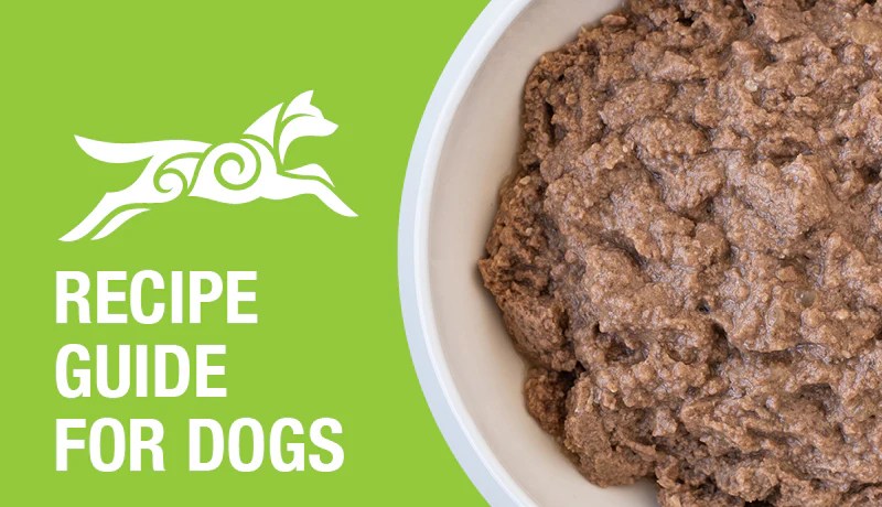 Cat Vomiting? Try A Bland Diet To Soothe Their Stomach | PetShun