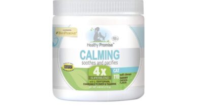 Calming Kitten Treats 2026 - Vet Ranch - We Love Pets