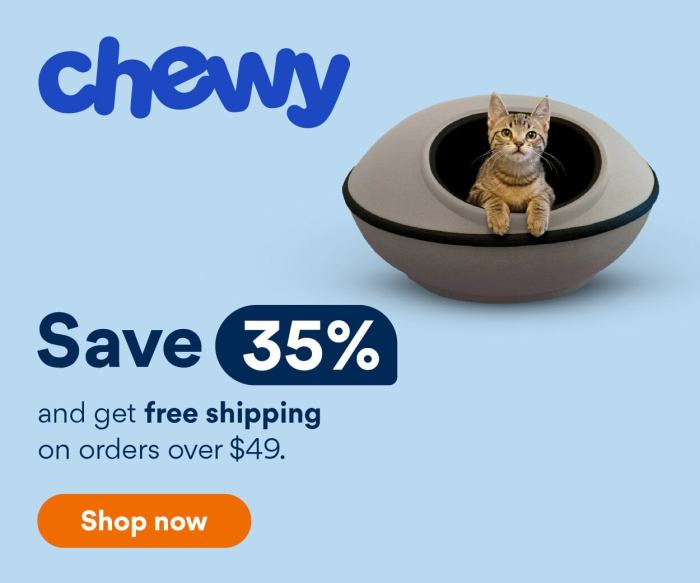 Chausie Cat Breed Overview, Facts And Information - Exploring The ...