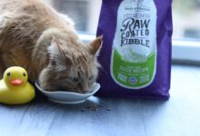 Freeze Dried Duck Cat Food | Raw Cat Food | Fresh Is Best®