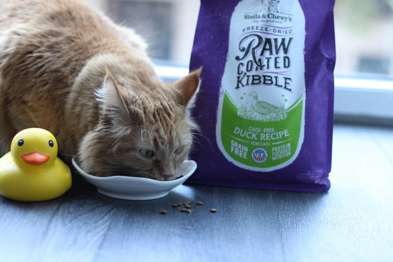 Freeze Dried Duck Cat Food | Raw Cat Food | Fresh Is Best®