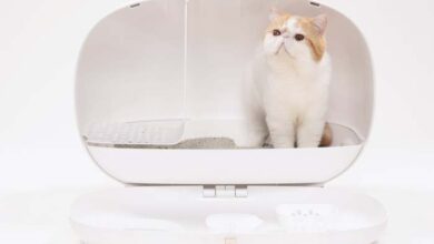 Modern litter box