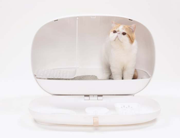 Modern litter box