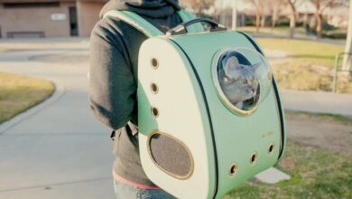 The Best Cat Backpacks of 2025