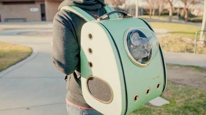 The Best Cat Backpacks of 2025