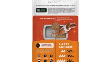 Best low tracking cat litter