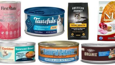 The 7 Best Cat Food With Grains: Unbiased Review - Cats.com