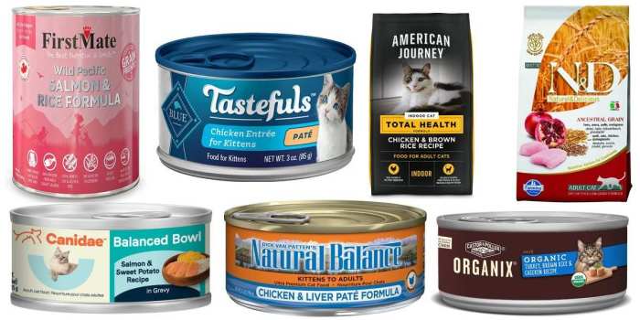 The 7 Best Cat Food With Grains: Unbiased Review - Cats.com