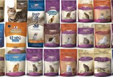 15 Best Dry Cat Foods for Hairball and Vomiting Control - Vet Approved ...