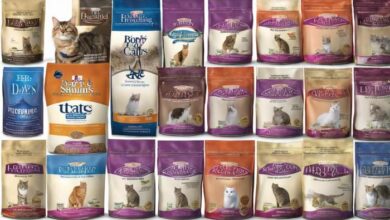 15 Best Dry Cat Foods for Hairball and Vomiting Control - Vet Approved ...
