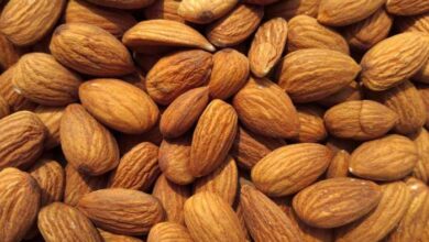 Can Cats Eat Almonds? What's Their Take On These Nutty Treats?