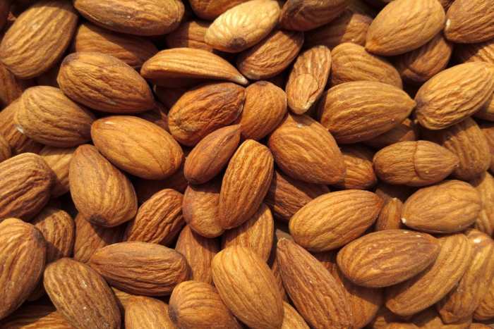Can Cats Eat Almonds? What's Their Take On These Nutty Treats?