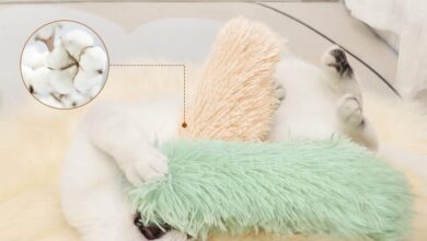 Cat Chew Toys