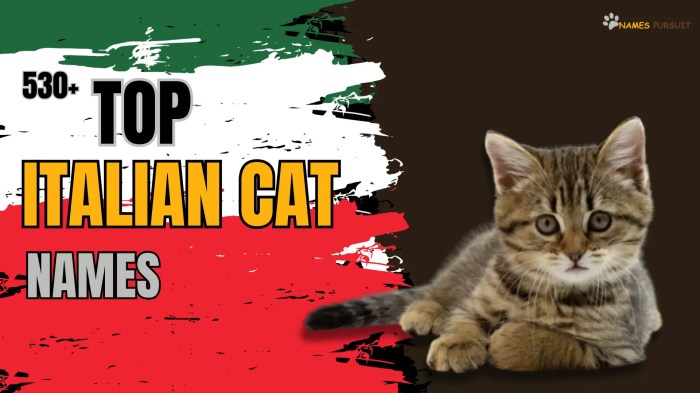 100+ Italian Cat Names That Are Bellisimo | Great Pet Care