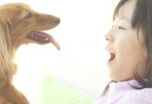 Bone Cancer In Cats