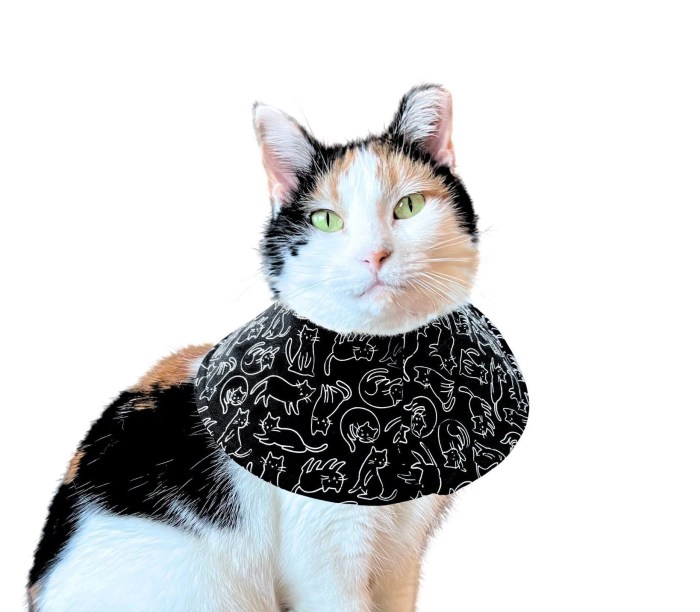 Cat Cone Collar Soft, Soft Cat Cones to Stop Licking, Cat Elizabethan ...