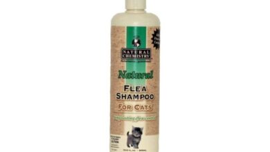 10 Best Flea Shampoos for Cats: Effective Flea Control
