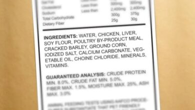 Crude Protein in Cat Food: Essential Guide