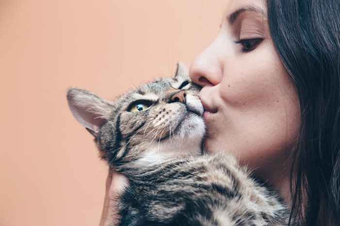 300+ Mexican Cat Names (Traditional Choices)