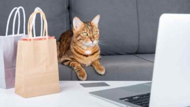 Cat Box Classics: Black Friday Cat House Sale! 15% Off Cat Houses ...
