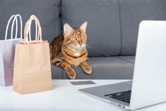 Cat Box Classics: Black Friday Cat House Sale! 15% Off Cat Houses ...